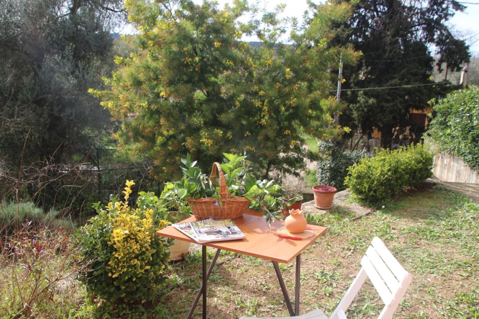 Olive Luxouri Apartamento Gazátika Exterior foto